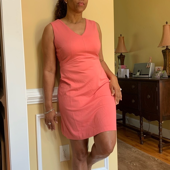 NWT WHBM TEA ROSE EMPIRE-WAIST V-NECK SHEATH DRESS - Picture 3 of 12